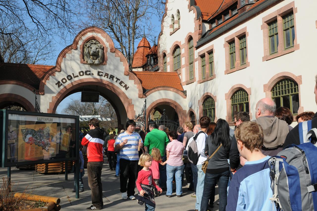 Pension Altstadt Borna Exteriör bild